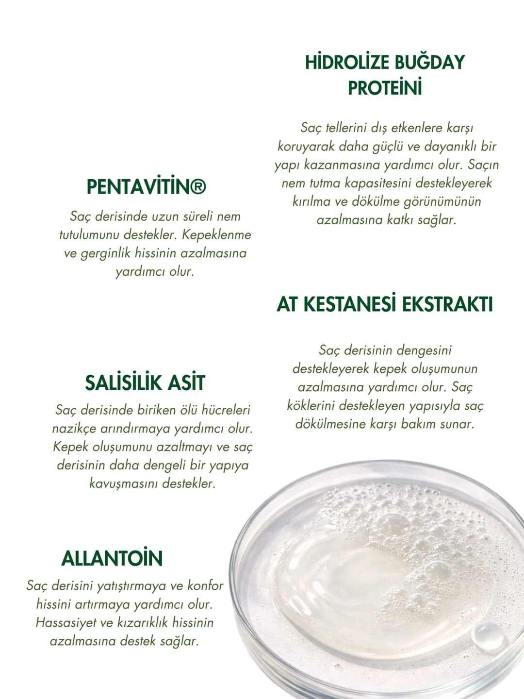 SCALPUS SAÇ SET  Şampuan + Serum